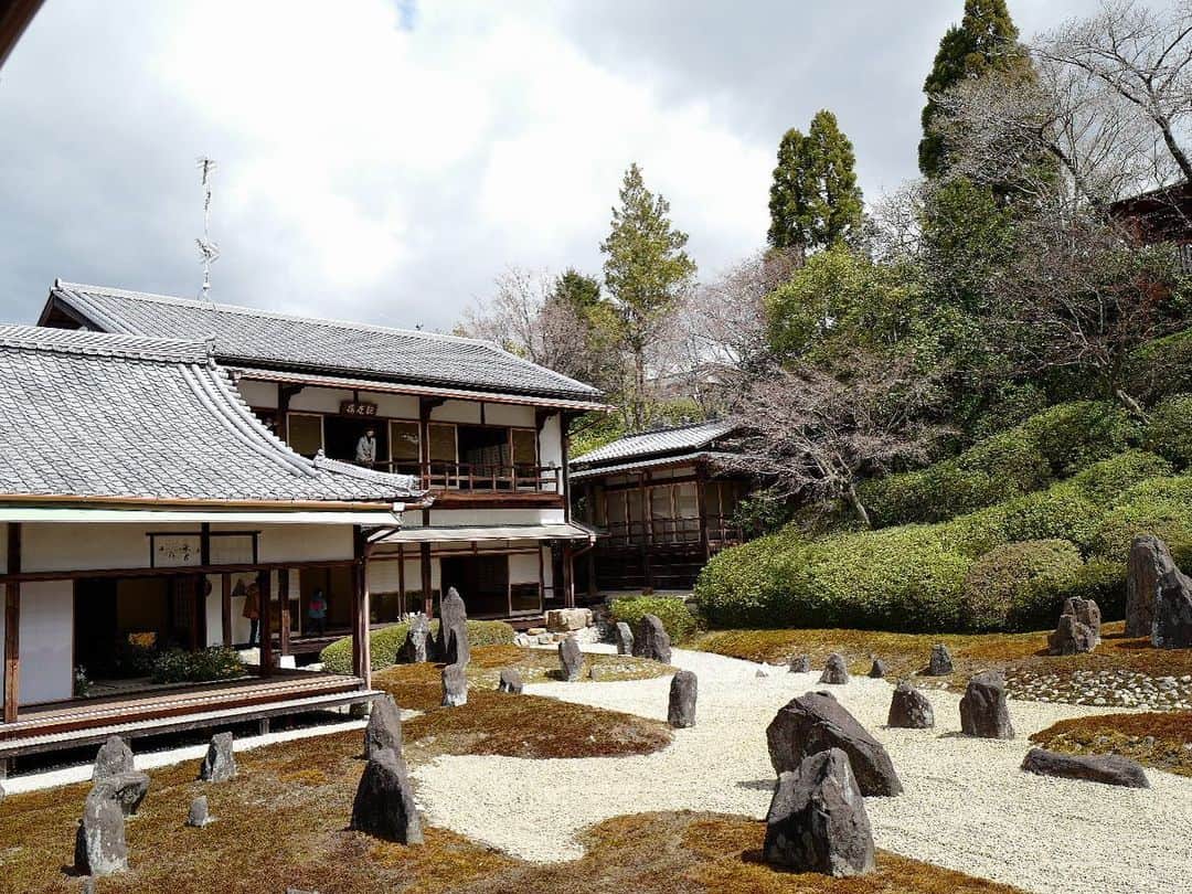 安田美沙子さんのインスタグラム写真 - (安田美沙子Instagram)「京都の「光明院」「霊鑑寺」へ行って来ました✨  光明院では、フラワーアーティスト 越智康貴 さんのお花が部屋を彩り、その向こうには、美しいお庭が。。  写真を撮るのはもちろん、お花の中に身を置いて庭を眺め無になってみる。  今しかない世界をあじわえたのでした💐 他の寺院もそれぞれの花のイメージが違うそう✨そちらも行ってみたいです☺️✨  霊鑑寺では期間限定で、白根ゆたんぽさんのオリジナル花御朱印が頂けました🌺  椿が有名な霊鑑寺の中でも、 京都市天然記念物という美しい椿が描かれています✨  数えきれない椿、さまざまな種類の椿、落ちているようすもまた、 どこをとっても美しい。。。  他の社寺もそれぞれを象徴するお花が御朱印に描かれているみたいです！ 花御朱印は事前予約がいるそう✨詳しくは「花咲く京都」特設サイトをご覧ください。   https://souda-kyoto.jp/other/hanasaku/    @soudakyoto_official @komyoin #そうだ京都行こう #花咲く京都 #京都 #花の間 #花御朱印  #東福寺光明院  #霊鑑寺　#PR」3月29日 18時57分 - yasuda_misako