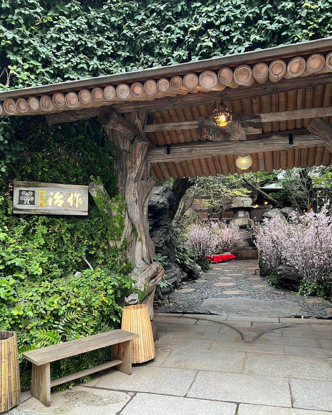 MAYUさんのインスタグラム写真 - (MAYUInstagram)「. 桜がとっても綺麗だった🌸✨ 街中で桜を見かけると心が和む。 日本人で良かったなぁと思う瞬間のひとつ☺️🌸 . . 風が強くておでこ全開🤣 . #桜#お花見#治作#つきじ治作#水炊き#fashion#ootd#sakura#cherryblossom#cherryblossoms#hanami#japan#japanesegirl#chanel#chanellover」3月29日 19時14分 - mayu.kina_golf
