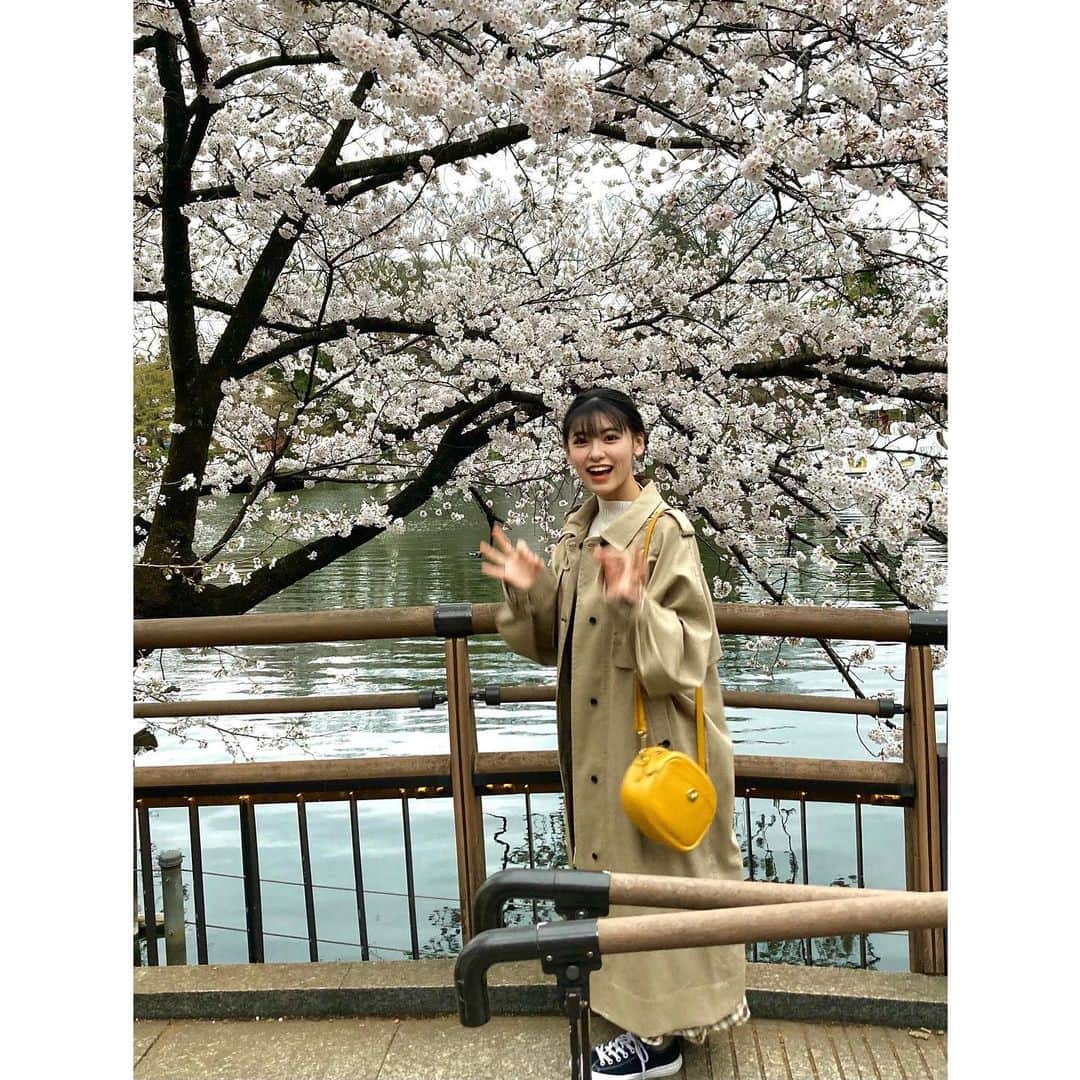 池田朱那のインスタグラム：「. どこも桜だらけでうれしい︎︎☺︎」