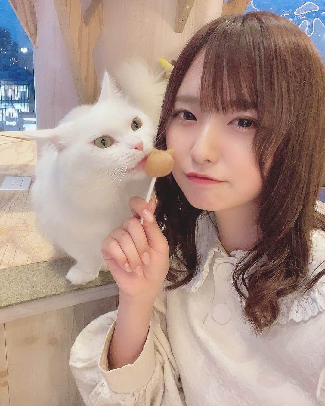 谷口彩菜さんのインスタグラム写真 - (谷口彩菜Instagram)「猫カフェ🐈 . 癒される、、かわいい、、、」3月29日 23時06分 - taniguchi_ayana