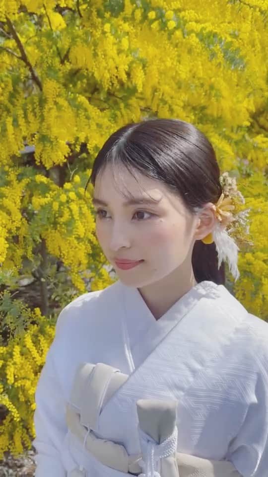 CLAIREのインスタグラム：「✨ミモザ×花嫁✨ ・ ヘアアレンジはタイトにひとつにまとめたシンプル髪下ろし。 ・ シースルバングが今っぽさをプラス。 ドライフラワーヘッドアクセとゴールドコームでトレンド感を和装に👘 ・ @claire_takasaki  @clairebridalstudio」