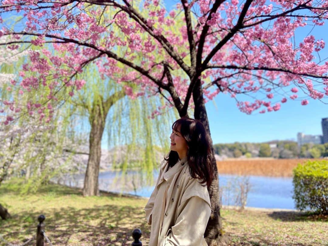 立石純子さんのインスタグラム写真 - (立石純子Instagram)「shooting!!　 お天気に恵まれたとある日の撮影𓂃 𓈒𓍯　 ちょうど桜も満開の時期と重なりつかのまのお花見もできました。　 　 桜も大好きですが　 桜を見てる人たちの笑顔も好きで結構そちらをみていたりもします。笑 　 #撮影 #ロケ #shooting #春 #桜 #満開 #🌸 #cherryblossom #japan_daytime_view #smile #😊 #spring #日本 #やなぎ #自然 #nature #beautiful #空 #sky #instagood #beautiful #camera #ポートレート」3月30日 14時18分 - junkokokotateishi