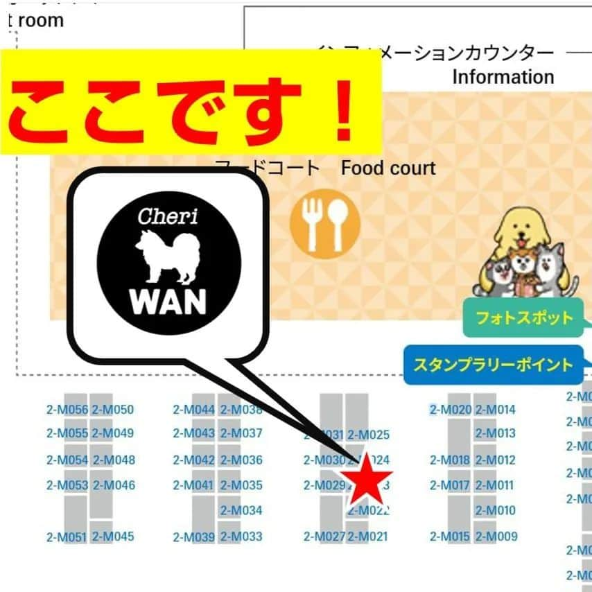 CheriWANさんのインスタグラム写真 - (CheriWANInstagram)「インターペット2022へ出展致します！🥳  今回も人気のトリーツを３つで1,000円の大特価で販売致しますので、ぜひお立ち寄りください🎵  もちろんご試食も用意してます。  場所は東２ホール、フードコートの前です。  お待ちしております！✨」3月30日 14時48分 - cheriwan_official