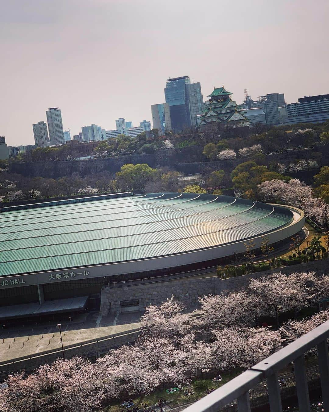 林マオのインスタグラム：「さくら🌸と大阪城  一人で 会社のテラスでお花見🍡  いい風が吹いていて と〜っても気持ちよかったです😊  いいお昼休憩でした…🥱  さ、 仕事仕事😗😗  #大阪城#1人花見#さくら#満開だ#綺麗#いい景色#読売テレビ#テラス#大阪」