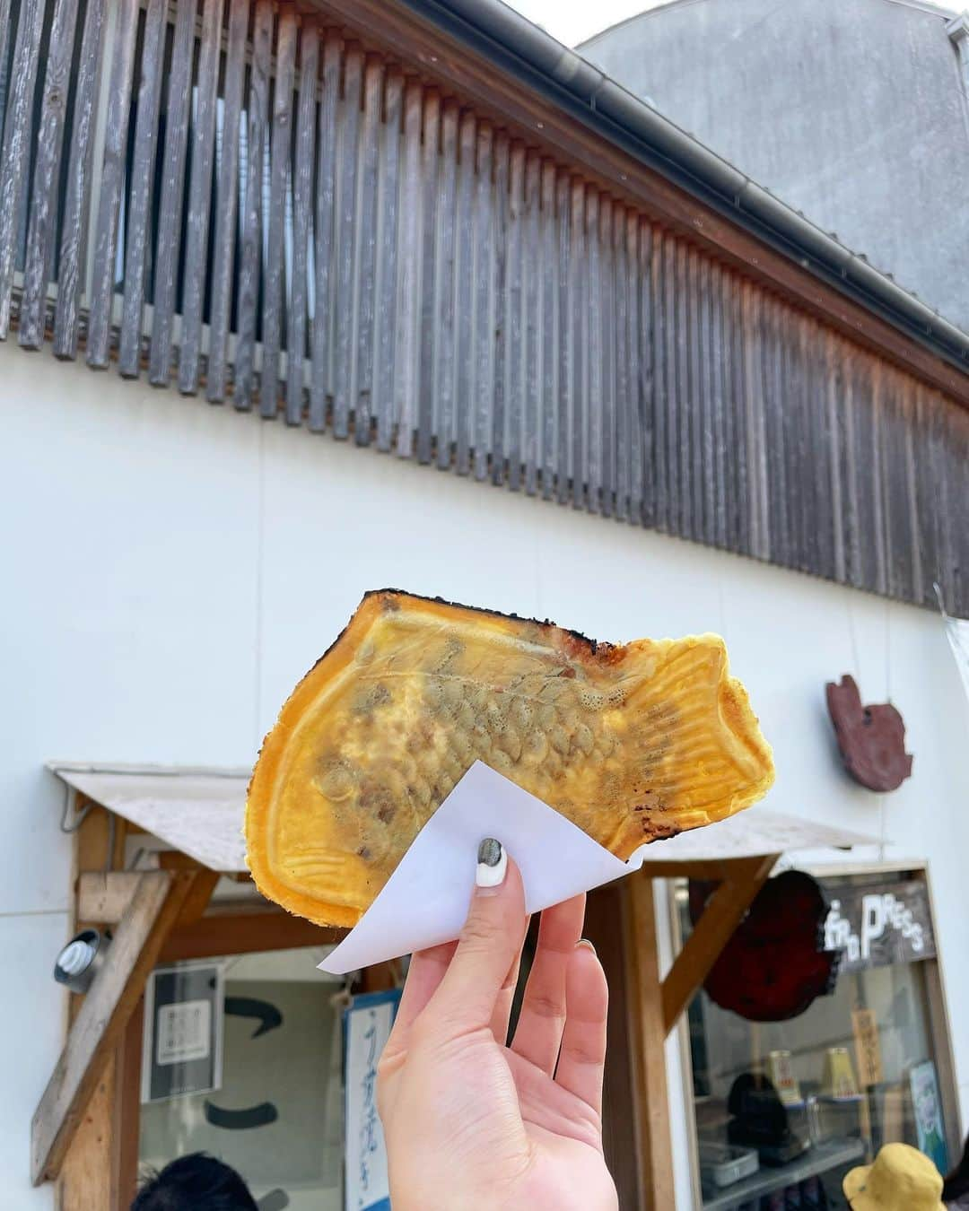 中西渚のインスタグラム：「薄焼きたい焼き  #こたろう」