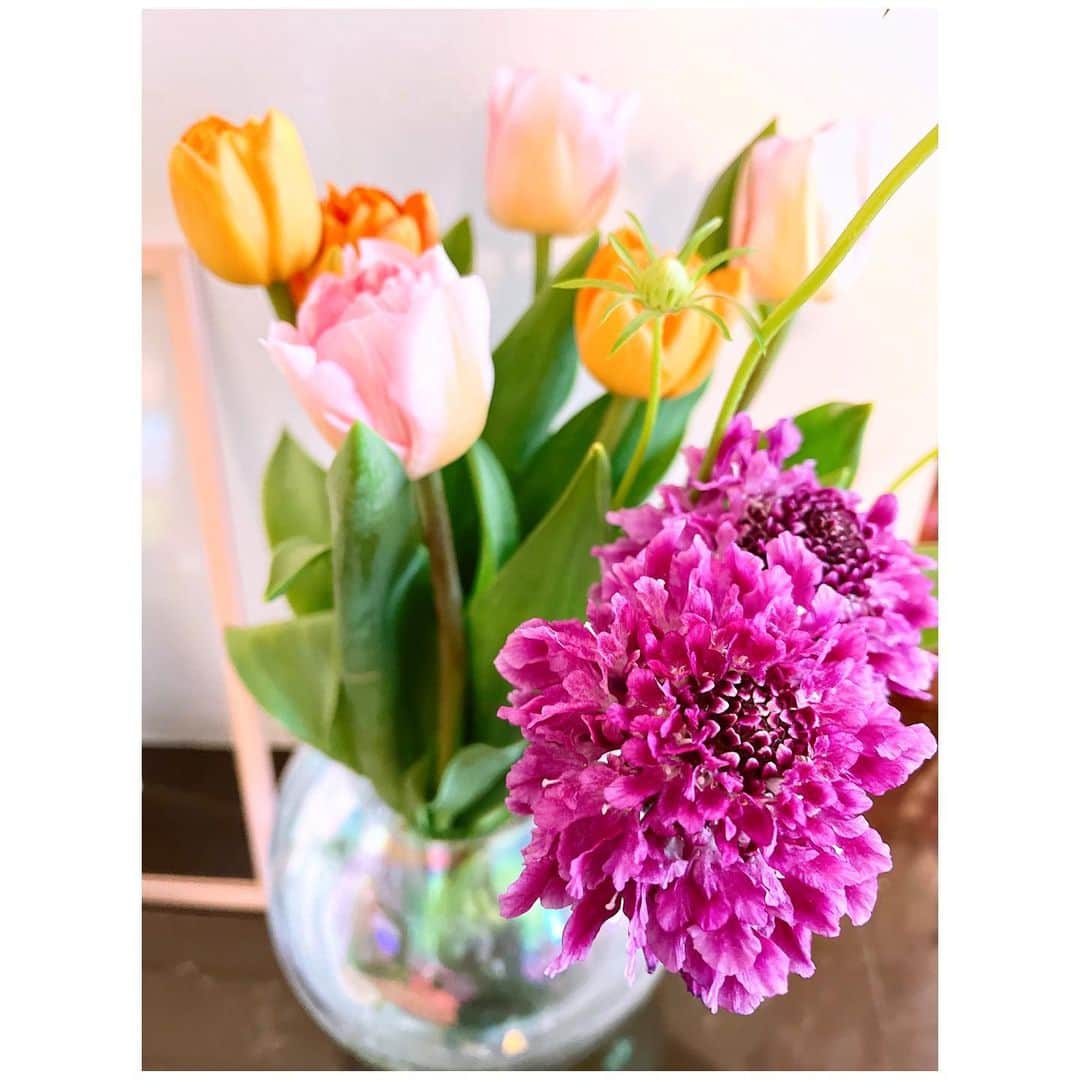のインスタグラム：「Good morning☺︎  💗💛💜💚  #flowers #spring #はるやすみ」