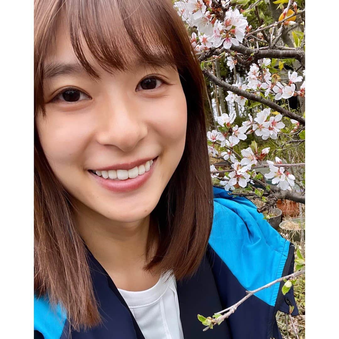 芳根京子さんのインスタグラム写真 - (芳根京子Instagram)「現場の近くに桜咲いてた🌸 昨日は寒かったけど 今日は暖かいですね🌸  #俺かわ」3月30日 12時25分 - yoshinekyoko