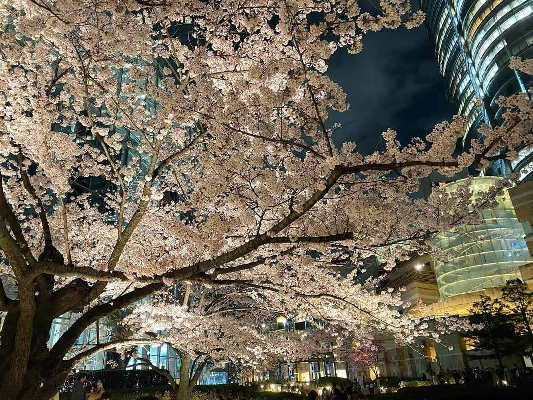 吉田実紀のインスタグラム：「🌸🌸🌸🌸🌸🌸🌸」