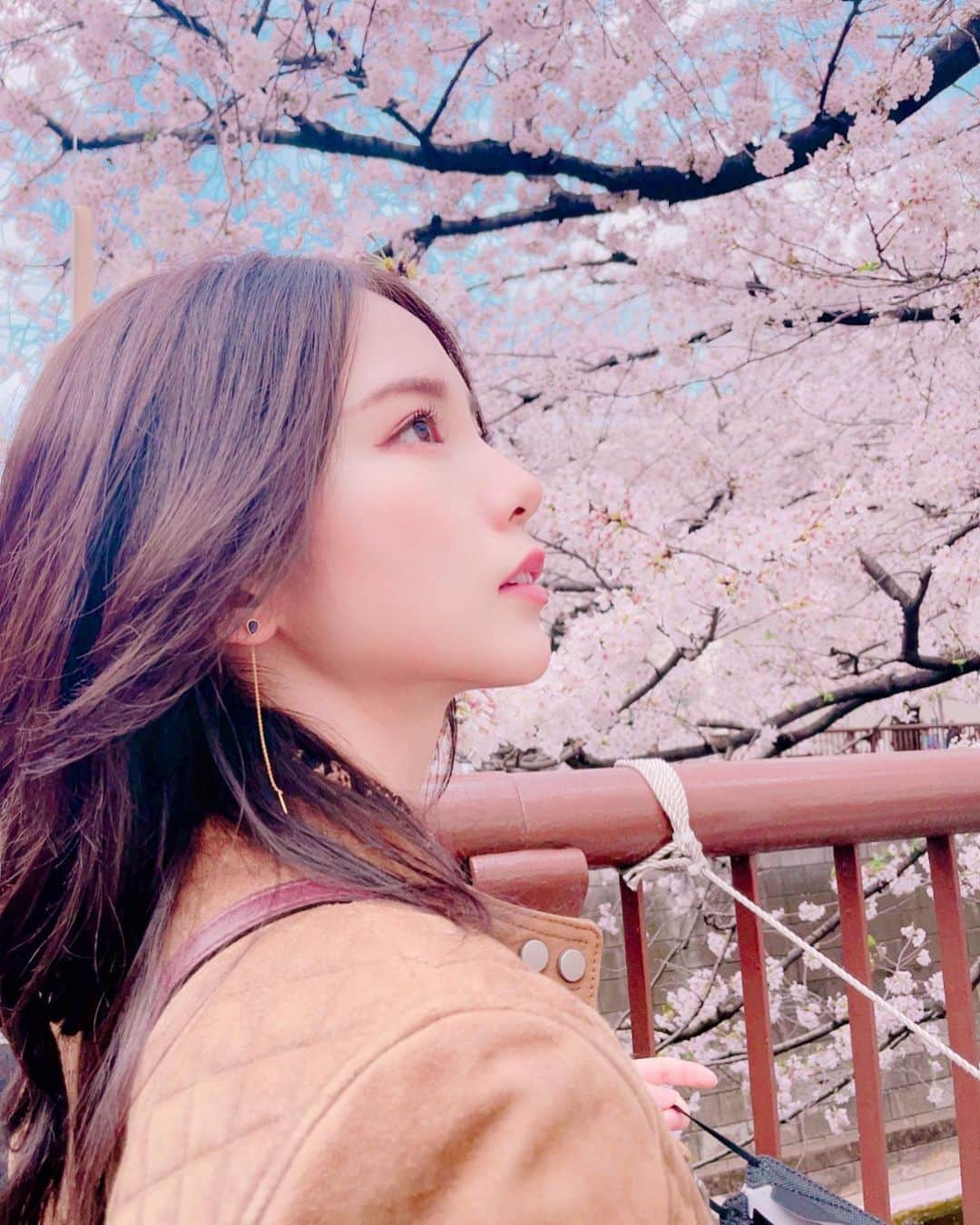 西村歩乃果のインスタグラム：「お花見🌸しました  1枚目と2枚目の差が。  2枚目、 目の前に桜の花びらが落ちてきて めっちゃテンション上がってます  #桜　#お花見　#目黒川」
