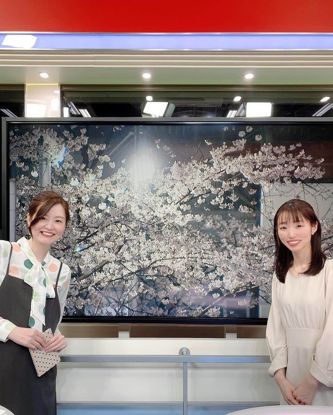 加田晶子さんのインスタグラム写真 - (加田晶子Instagram)「【ご報告🍀】 昨日、無事に、6年間担当させて頂いた日テレニュース24を卒業致しました。 学びの多いとても濃い6年でした🌸  地震や大雨などの災害、事故、火事、海外の出来事、本当に様々なブレイキングニュースをお伝えさせて頂きました。心が傷む出来事も多く、辛くなったことも多々ありました🐢いつも反省ばかりでしたが、とてもやり甲斐のあるお仕事でした。  皆様に支えられ、何とか６年やってこられたと思います😌皆さま、ありがとうございます❤️ 周りの方々に恵まれ、とても居心地が良かったので卒業するのはとても寂しいですが、気持ちを新たにまた頑張ります！  このお仕事はこれからも続けていきますので、温かく見守って頂けますと幸いです🧸🍀  写真は載せきれなかったので、またゆっくりアップしていきます♪しばらくお付き合い下さい🤡  #日テレニュース24 #日テレnews24 #アナウンサー #フリーアナウンサー#女子アナ #ニュースキャスター#ニュース番組 #卒業#フリーランス#出会いと別れ」3月31日 0時55分 - accoo.k