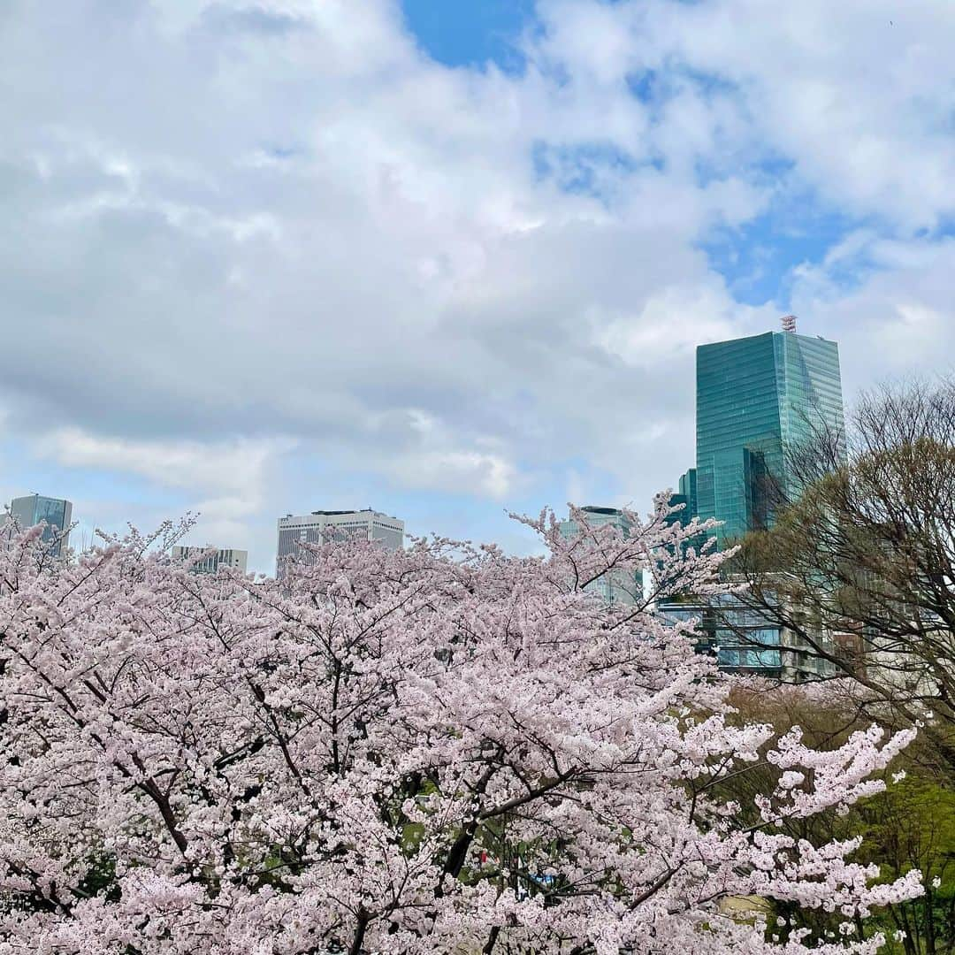 吉井明子さんのインスタグラム写真 - (吉井明子Instagram)「🌸☀️🏙  今しか見られない景色  #東京の桜 #桜 #cherryb #sakura #벚꽃 #樱花  #六本木 #ミッドタウン #3月30日 #気象予報士 #気象キャスター #weatherforecaster #기상캐스터　#氣象主播 #吉井明子 #nhk #bs4k #bs1 #bsニュース4k」3月30日 16時50分 - akiko_yoshii_sunny_rain