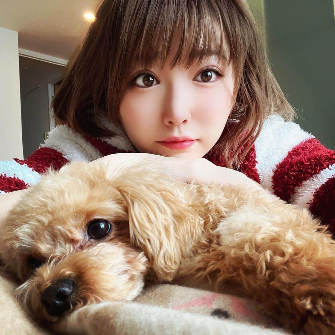 松本菜奈実さんのインスタグラム写真 - (松本菜奈実Instagram)「まめちゃん。 #マルプー #犬 #dogstagram  #mix犬  #cat」3月30日 17時41分 - 773nanaminu