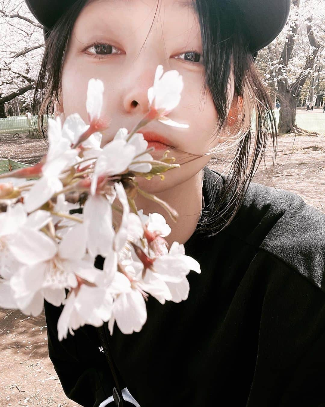 ナナヲアカリのインスタグラム：「. 散歩した、いっぱい咲いてた #🌸」