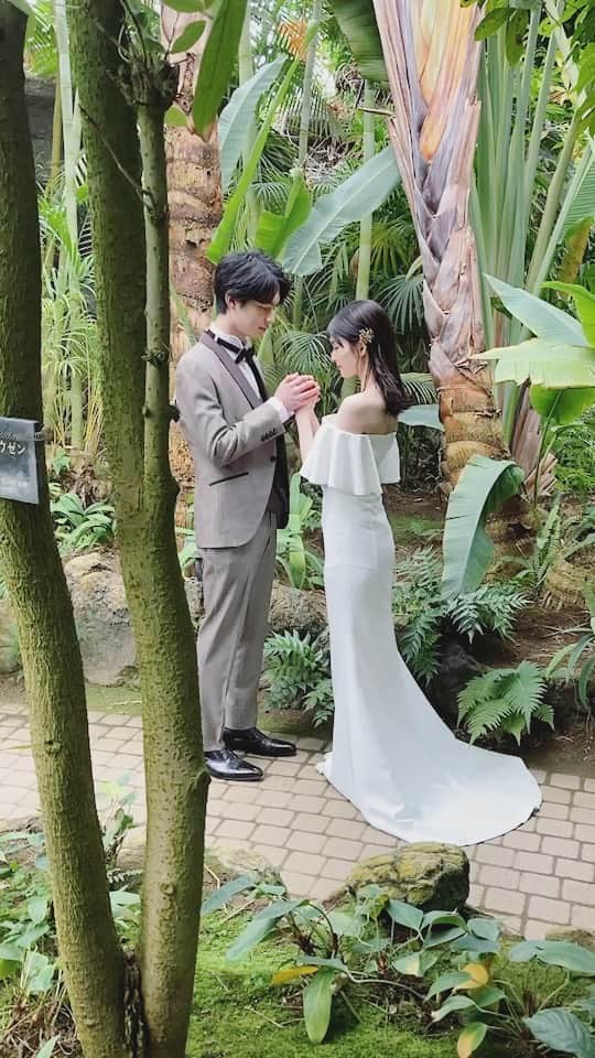CLAIREのインスタグラム：「🌲🌴🌿 ・ @claire_takasaki  @clairebridalstudio」