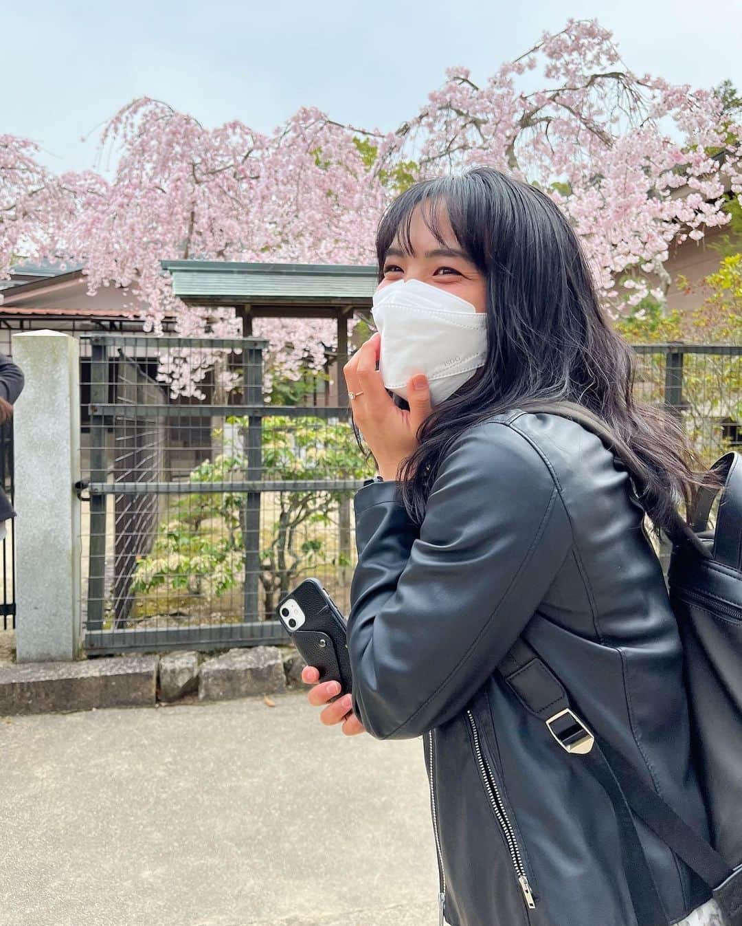 河村元美のインスタグラム：「🌸 ➕ ME #cherryblossoms #springfashion #ええやんええやん」