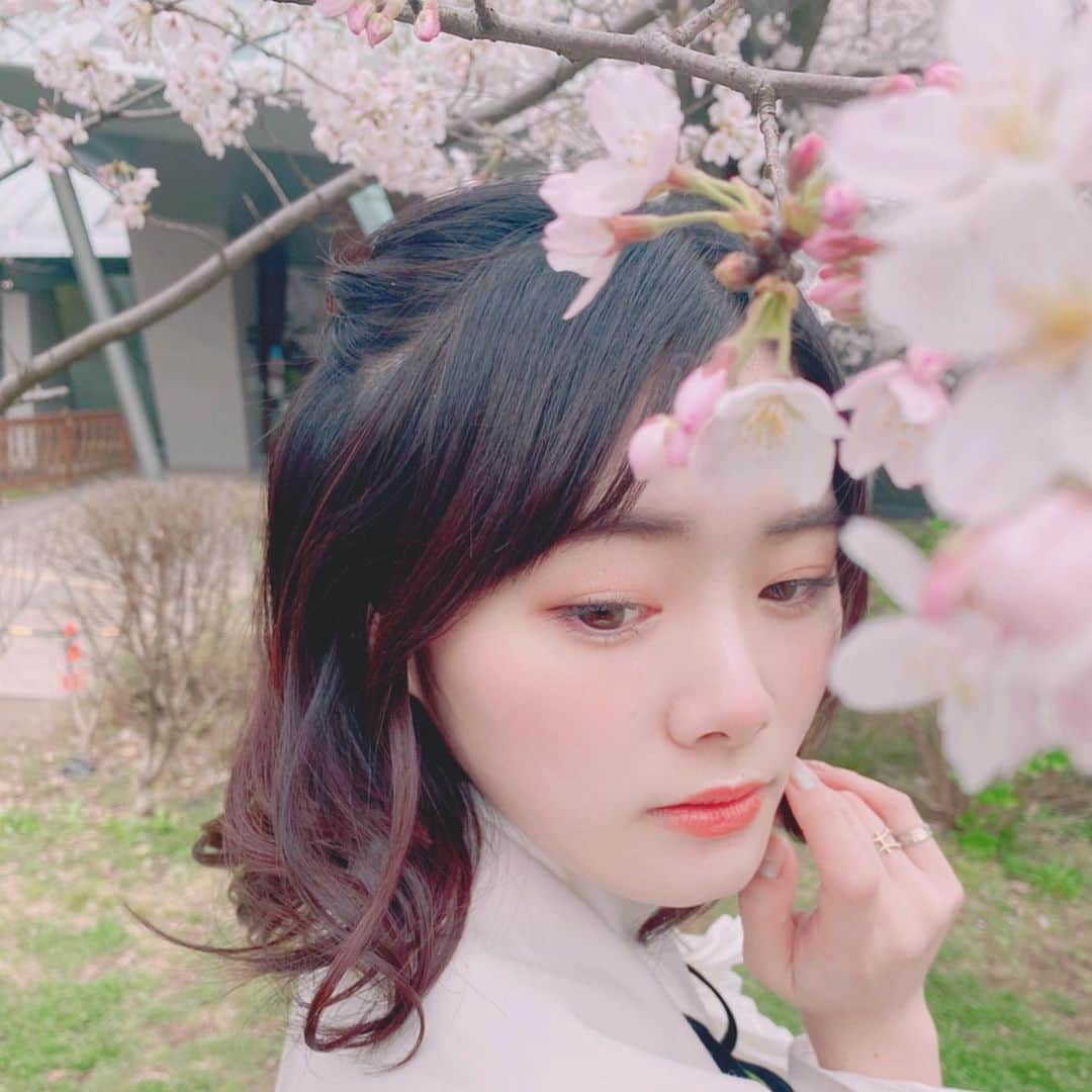 長谷川玲奈さんのインスタグラム写真 - (長谷川玲奈Instagram)「#🌸」3月30日 19時56分 - bbg_rena0315