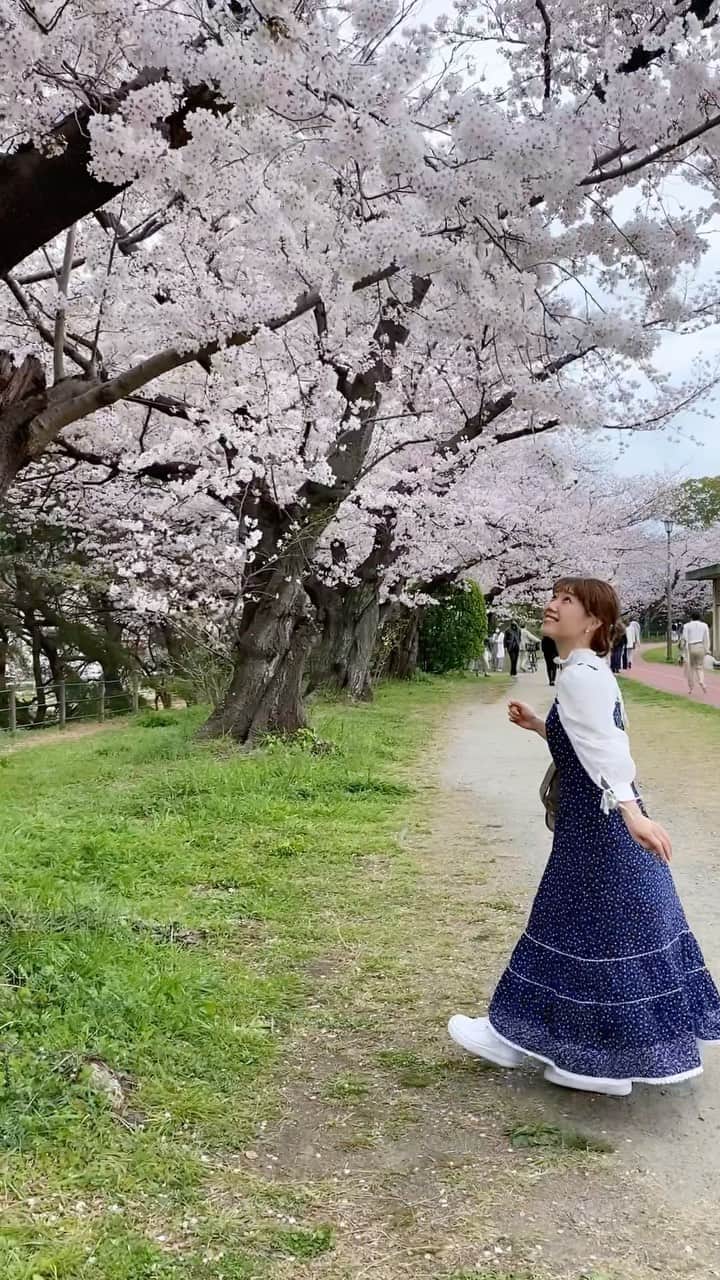 黒田りさのインスタグラム：「🌸 舞鶴公園のさくらまつりでお花見してきた✌️✨ 春のお花、うきうきるんるんではしゃいじゃいました🌸  #大濠公園#舞鶴公園#さくらまつり#お花見#古着#ヴィンテージワンピース#アメリカワンピース#ヘアアレンジ#福岡観光#福岡市#福岡旅#桜#sakura#japanesegirl#cherryblossoms」