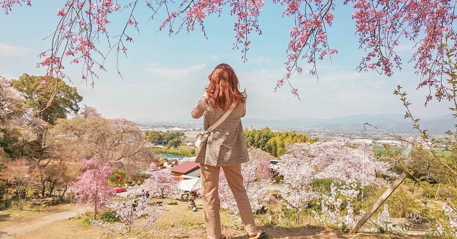 瀬口かなのインスタグラム：「🌸 友達が良い写真撮ってくれた☺️✨ うきはの身延桜🌸 ⁡ 福岡は明日雨なのでもう散っちゃいそうです〜😭🙏 ⁡ ⁡ #instalike #instadaily #selca #selfie #japanesegirl #cherryblossom #sakura #お花見 #お花見コーデ #お花見スポット #桜 #さくら #うきは #うきは市 #身延のしだれ桜 #身延桜 #福岡さくらスポット #福岡さくら」