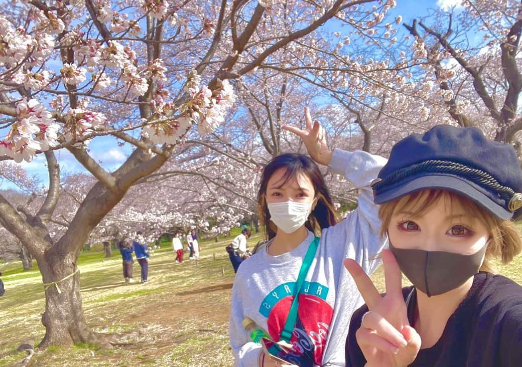 ちゃぶのインスタグラム：「🌸🌸🌸 風つよすぎて髪の毛🫣🫣🫣   #桜  #🌸 #🌸🌸🌸 #🌸🌸🌸🌸🌸🌸🌸🌸🌸🌸🌸🌸🌸🌸🌸🌸🌸🌸🌸🌸🌸🌸🌸🌸🌸🌸🌸🌸🌸🌸🌸🌸🌸🌸🌸🌸🌸🌸🌸🌸🌸🌸🌸🌸🌸🌸🌸🌸🌸🌸🌸🌸🌸🌸🌸🌸🌸🌸🌸 #sakura」