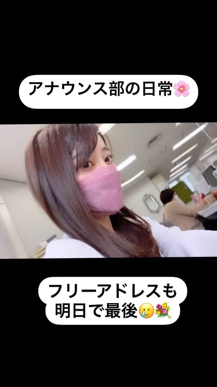 八幡美咲のインスタグラム：「学生ぶりに 席順にドキドキしています☺️🤎 どの先輩と隣になるんでしょうか🥰  一年続いた自由に席を選ぶことができるフリーアドレスが終わるそう。  桜が見える窓際に座ろうと 意気込んで出社するのも 明日が最後です(՞˶･֊･˶՞)🌸  #アナウンス部の日常」
