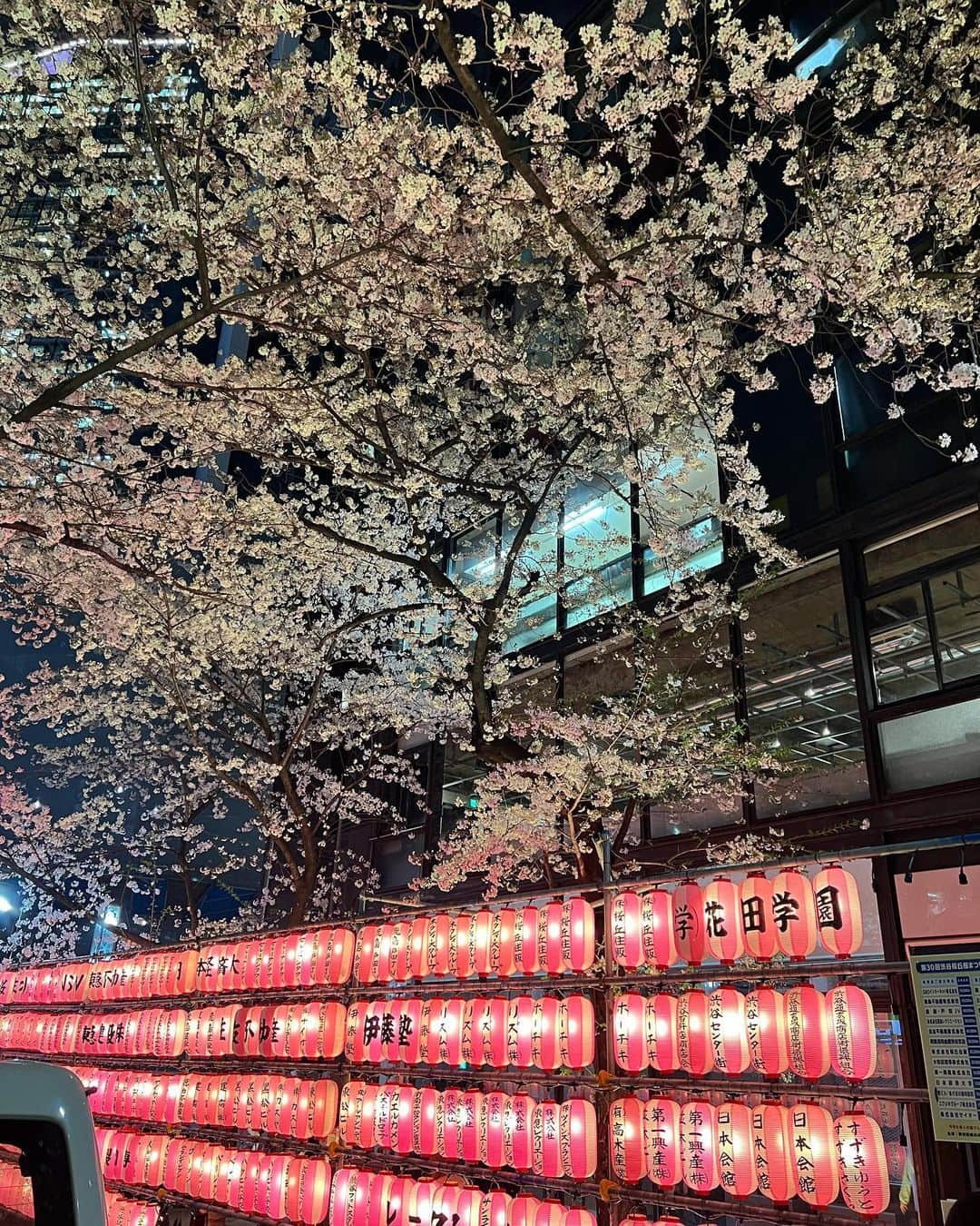 佐野真彩さんのインスタグラム写真 - (佐野真彩Instagram)「@tothesea_hawaii のセットアップ🤎 スリットが今年らしく、フレアになっているのでスタイルよく見せてくれます👍（発売したばかりですが、先程サイトを確認したら残り僅かに💦） ちょっとまだ寒いので羽織が必要ですが、これから暖かくなって出番が増えそう✨  後半は渋谷の桜ヶ丘の桜🌸 ここ綺麗ですよね🥰  #tothesea #totheseahawaii #Resortnista #ニットセットアップ　#リゾートコーデ　#夏コーデ #桜ヶ丘 #夜桜ライトアップ」3月30日 21時40分 - sano.maya