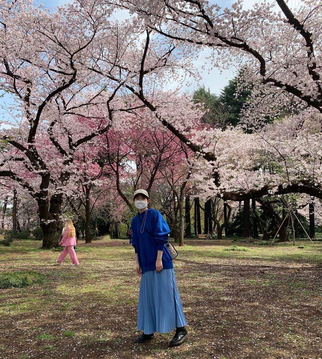 森貴美子さんのインスタグラム写真 - (森貴美子Instagram)「2022新宿御苑🌸」3月30日 22時14分 - morikimi_morikimi