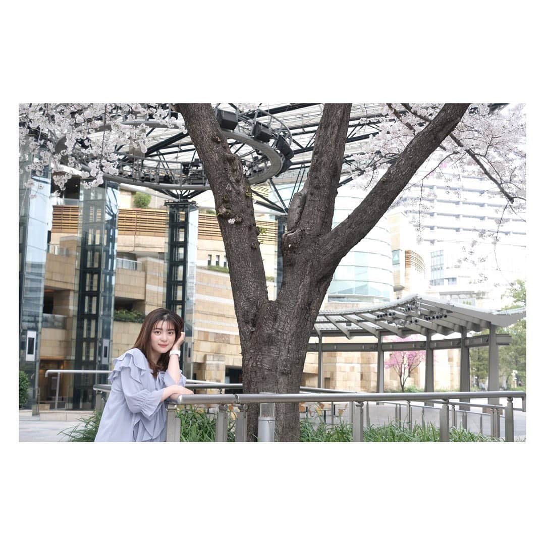 並木万里菜さんのインスタグラム写真 - (並木万里菜Instagram)「アベモニ終わりに外に出ると ソメイヨシノがしっかりと綺麗に咲いていました🌸  放送中もけやき坂スタジオから見えます。 今か今かと咲くときを待ち、 咲いたあとはいつ散ってしまうのかなあと気を揉みますよね 今週末まで綺麗に見られるといいなぁ〜 　 #桜#sakura#cherryblossom #桜🌸#けやき坂#欅坂#一眼カメラ勉強中  #並木万里菜#テレビ朝日アナウンサー#テレビ朝日#テレ朝#アナウンサー」3月30日 22時48分 - marina_namiki