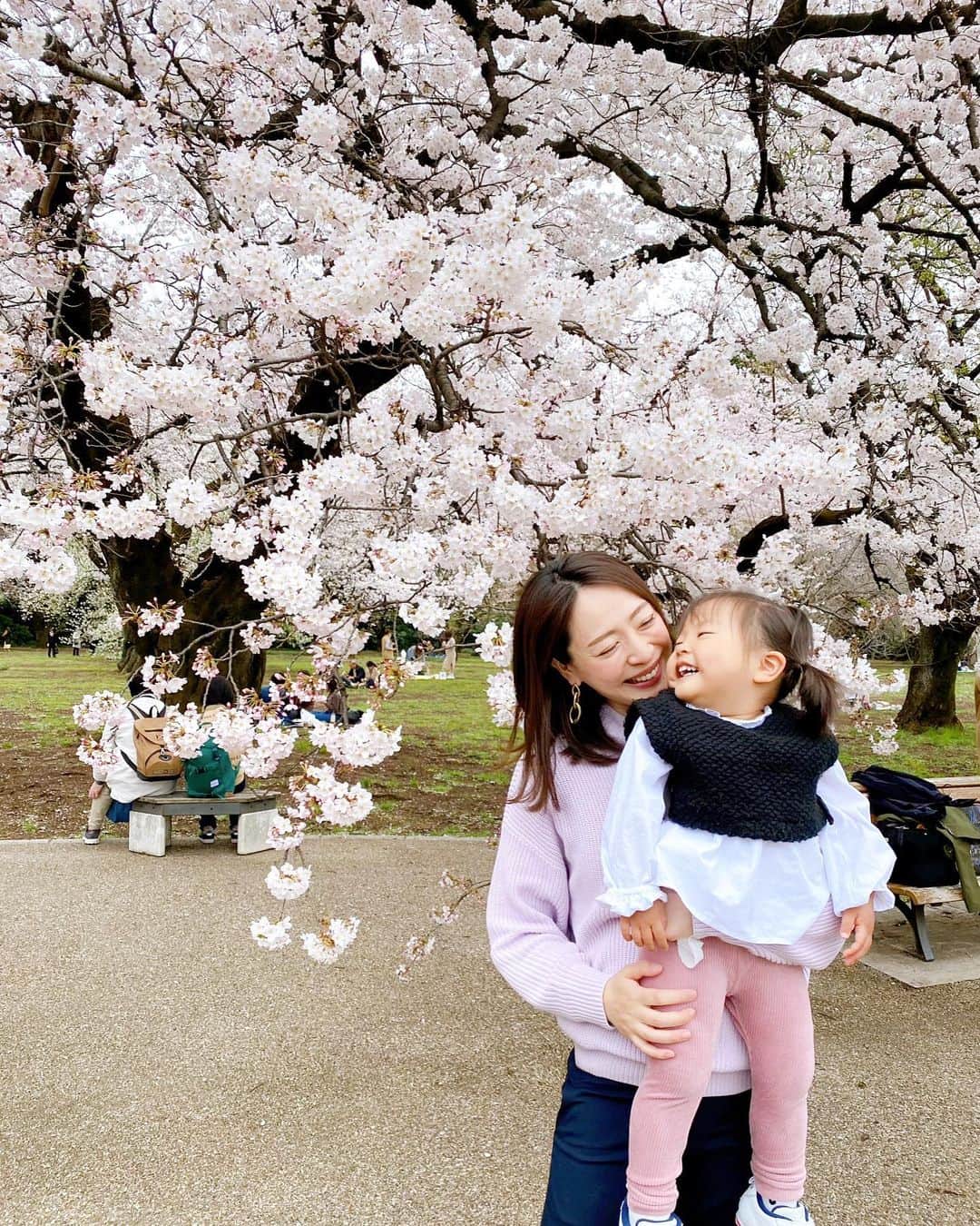 磯部奈央のインスタグラム：「お花見🌸  先週の日曜日、家族でお花見しました👨‍👩‍👧 急いでいてレジャーシートを忘れたけど、新宿御苑はベンチもあって助かった😮‍💨 無事に、桜を眺めながらお弁当食べられました🍱🌸  去年はまだお話ができなかった娘も、今年は「さくら！ピンク！きれいだねぇ🌸」とたくさん話してくれるようになって、一緒に楽しめた感じが嬉しかったな😊🌸  来年はレジャーシート持って、また来ようねー😂  #お花見 #桜 #🌸 #新宿御苑」
