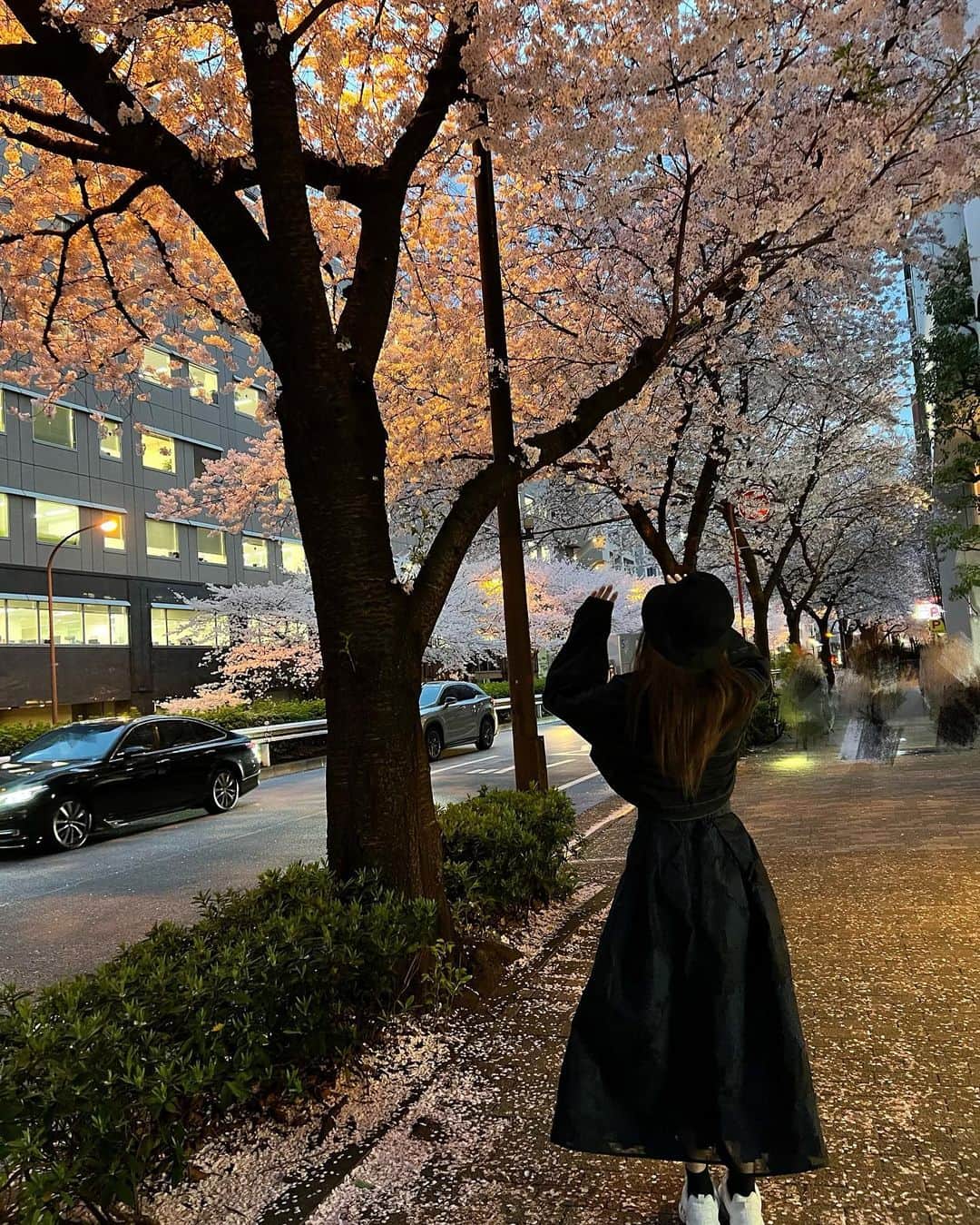 結城ののさんのインスタグラム写真 - (結城ののInstagram)「やっと桜見に行けた〜🌸　#桜　#お花見？なのかな？花粉やばすぎて一瞬です」3月30日 23時14分 - yuki_nono7