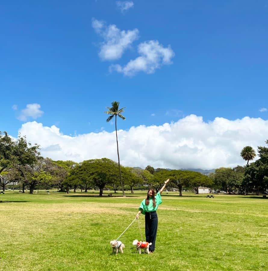 マキ・コニクソンさんのインスタグラム写真 - (マキ・コニクソンInstagram)「ハワイからおはよ！🌺  ヤシのキーちゃん！🌴 カピオラニ公園のど真ん中に 1本ポツンといるんだよ。 でも凛としてとってもポジティブな エネルギーを出してる愛らしい ヤシのキーちゃん！❤️❤️  今日は風が爽やかでとっても 気持ちの良いハワイです！ カピオラニ公園のベンチに座って 美味しい空気を吸ってるだけで めちゃくちゃ元気になる！💪🏼💪🏼 この上ない幸せ&贅沢な時間😊😊  オミが収束したら ハワイで皆さんをお待ちしています！🌺🤙🏼  今日もお互いハッピーな 1日を過ごそうね！😊  あたいはこれからMonsarrat Aveにある ヘアサロン @oakhairsalonhi に行って “スペシャルトリートメント” してサラ子になってきます！✨ ストーリー見てね！☝🏼  朝からヤシのキーちゃんの おすそ分けでした！🌴🤙🏼 Photo by 島ちゃん  #エアハワイ🌺  #ハワイのおすそ分け🤙🏼  #気持ちだけでもハワイ😊  #ヤシのキーちゃん🌴」3月31日 7時58分 - makikonikson