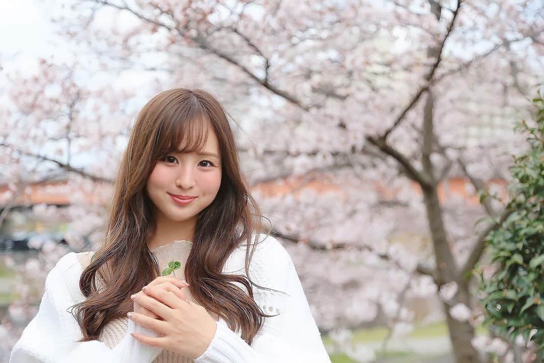 のインスタグラム：「桜✖️四葉のクローバー🍀 みなさんに 幸せが訪れますように☺️🌸  #桜 #cherryblossom #クローバー  #安田七奈 #なーちゃ #レースクイーン #rq #ラウンドガール #グラビア #グラビアアイドル #グラドル #インスタグラビア#美乳 #wedssport #bandoh #セクシー #セクシー美女#wedssportracinggals #followme #japanese #japanesegirl #instagood #instalike #photooftheday #팔로우 #얼스타그램 #粉我 #非常好 ⠀ ⠀」