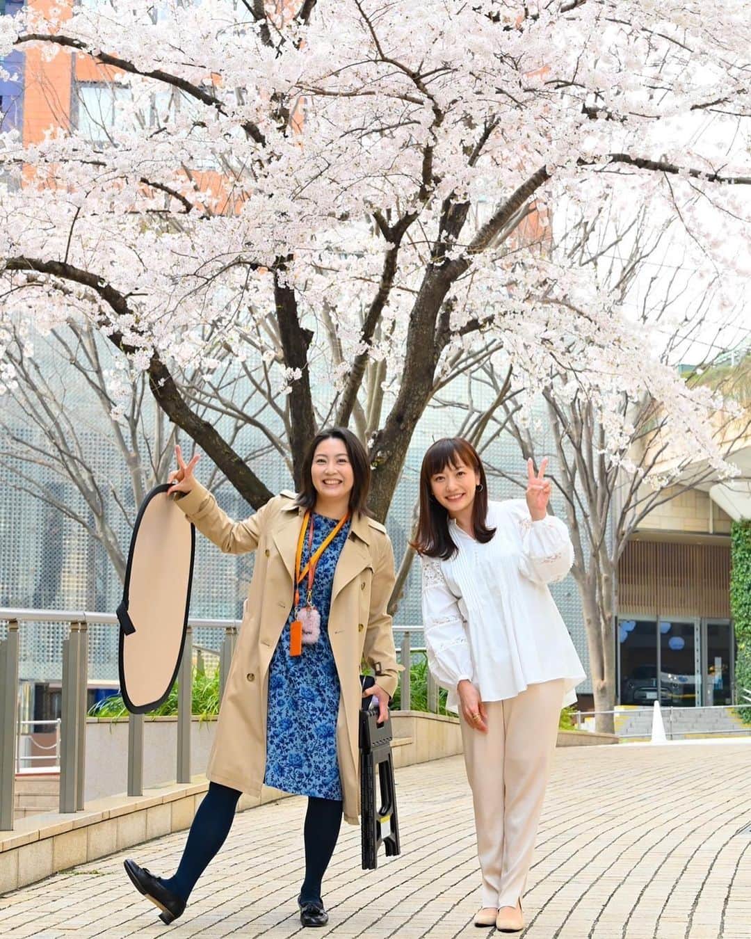 のインスタグラム：「昨日は、今後配信される『さくら待ち受け』の写真撮影でした🌸 詳細はまた後日お伝えしますね♪ 矢島さん、ありがとうございました🤍  #桜 #待ち受け #配信  #テレビ朝日 #矢島悠子 アナウンサー #1期上の先輩 #島本真衣」