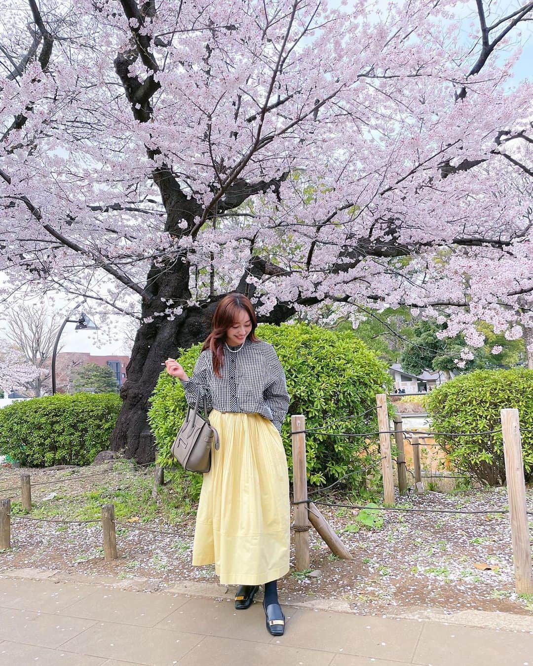 小祝麻里亜のインスタグラム：「🌸🌸🌸🌸🌸🌸🌸  3月も大変お世話になりました✨明日からは新年度ですね🌿新生活を迎える方も、そうでない方も健やかで幸多き日々となりますように☺️🫰  気が付いたらソメイヨシノが満開な関東🌸陽当たりよいところは新芽も出だしてる🌱³₃  写真2、3枚目はマイヒメという桜の品種🌸ピンク色が強くて可愛い😊😊  さてさて4月も仲良くしてください🫶  shirt, skirt @machatt_   @chiyo1173 写真撮ってくれて有難う🤗🤍 ． ．＿＿＿＿＿＿＿＿ #얼스타그램 #데일리 #데일리룩 #오오티디 #158cmコーデ  #bt21 #btsarmy」