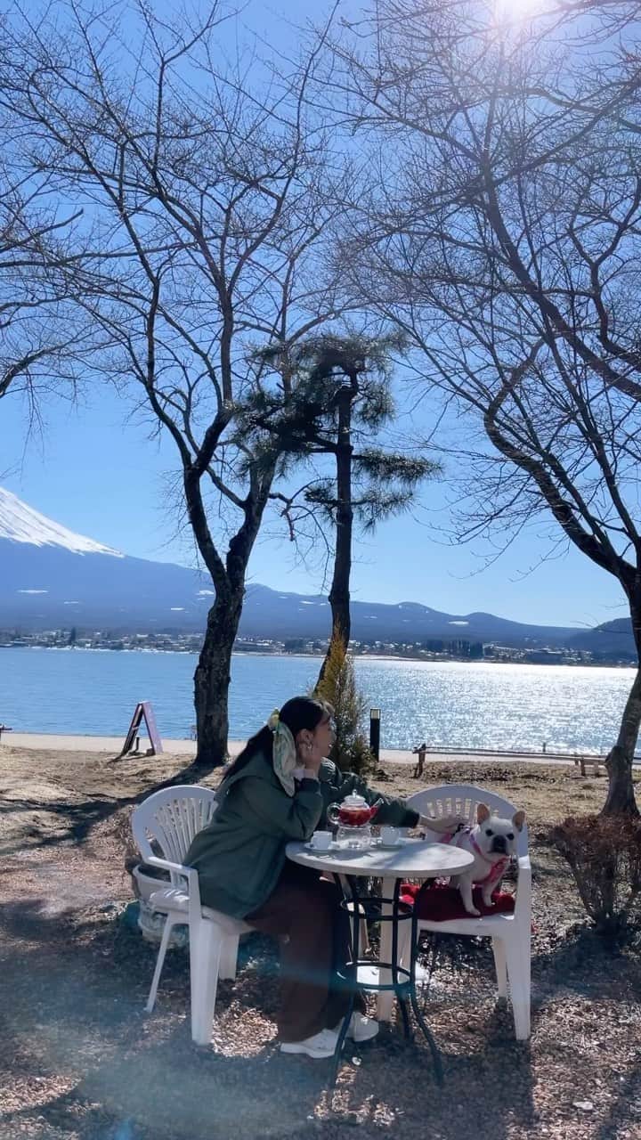 のインスタグラム：「@doubutsupeace   ❤️❤️❤️  ありがとう🐶  #どうぶつピース」