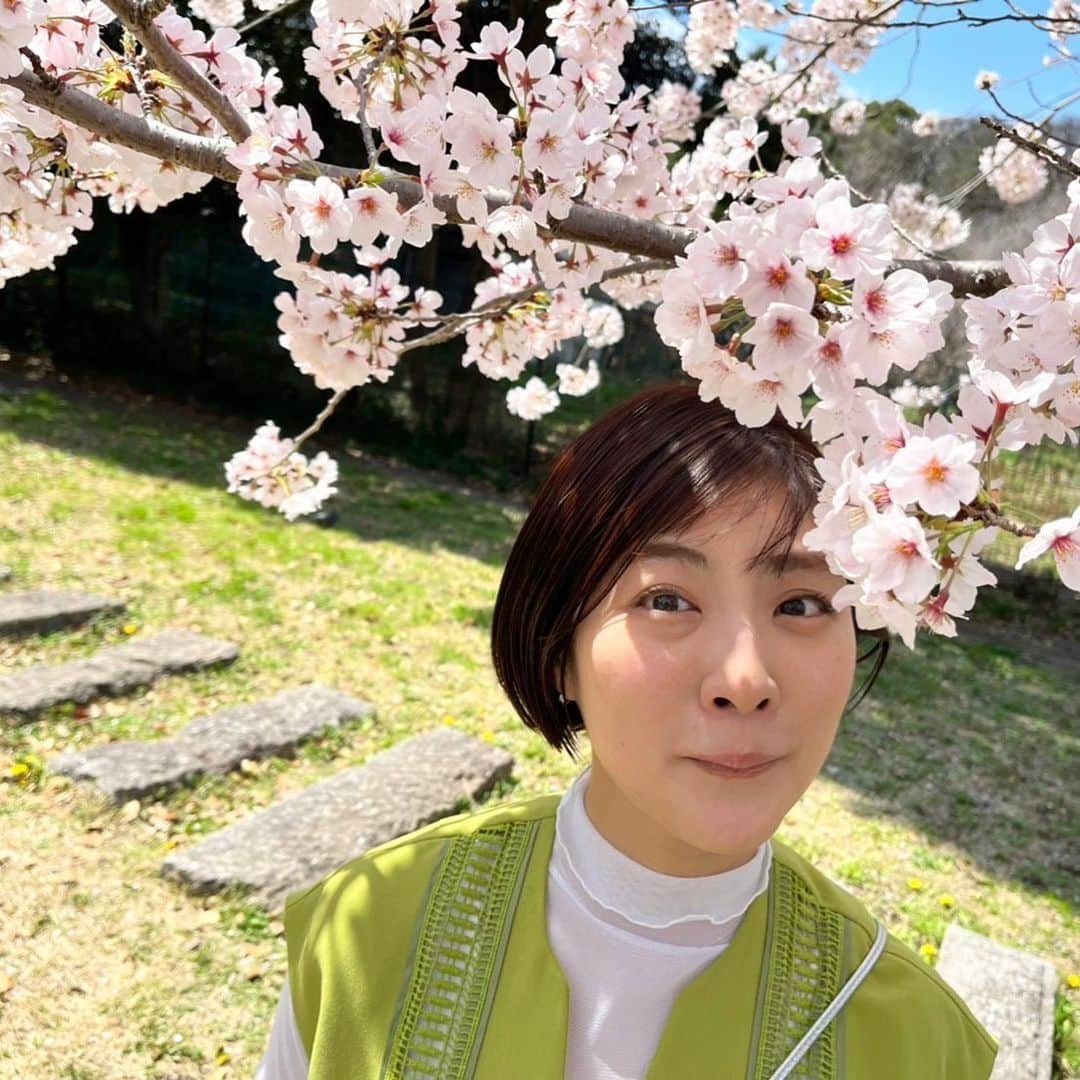 岩本乃蒼のインスタグラム：「年度末🌸 どことなくあわただしいなか 優しい桜色に心和みます 旅立ちや新たなスタートの季節、 エールをおくります💛」