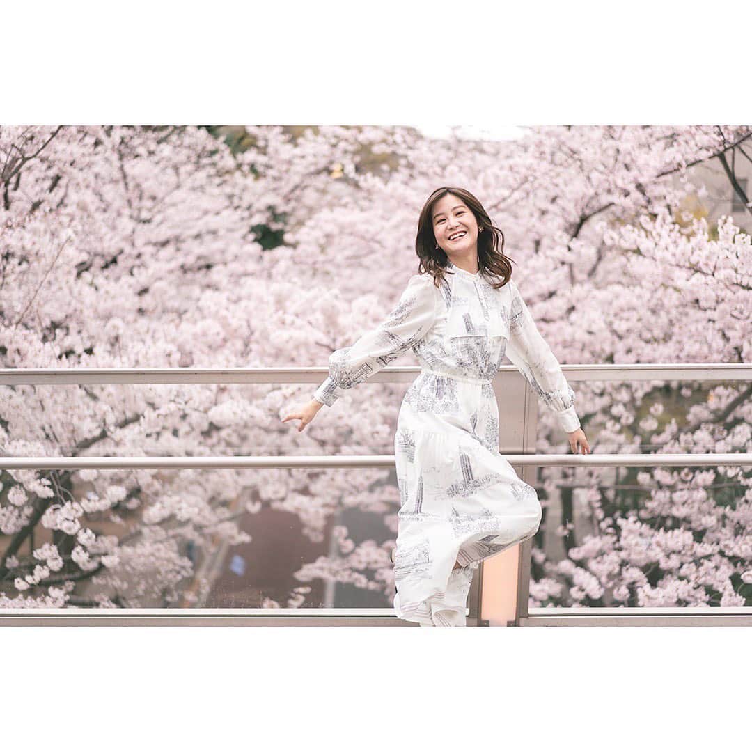 のインスタグラム：「桜と🌸スキップ @kaku_photo にたくさん撮ってもらったので数日に分けてあげようと思います〜😚✨ スキップしてる時が一番幸せ🧚‍♀️ . #桜#sakura#cherryblossom #満開#벚꽃#スキップ#アナウンサー#아나운서 #東京#tokyo #六本木#東京カメラ部」