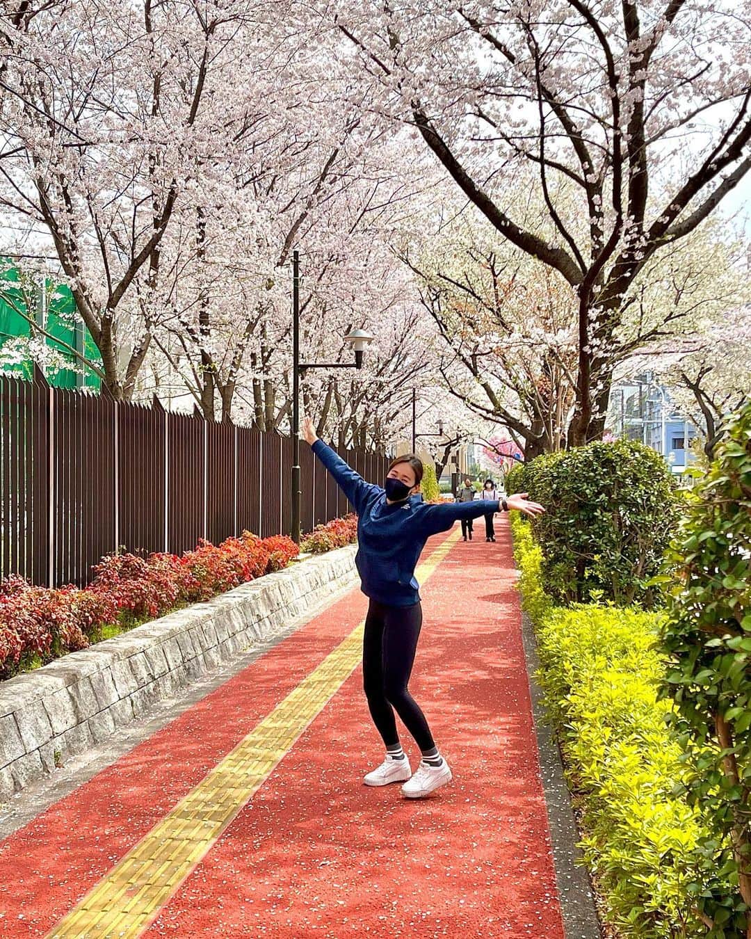 西岡詩穂のインスタグラム：「桜の季節は短いけど大好き✌️  ランチ行くがてらに軽く花見が出来る♪ ほんとに桜が綺麗です✨🌸  #フェンシング #ナショナルチーム #japan #fencing #escrime #桜 #桜並木 #ランチはいつもほぼ2択 #つるき屋 #かぜや #ほんまに美味しい #桜は日本の宝 #🌸 #🌸🌸🌸」