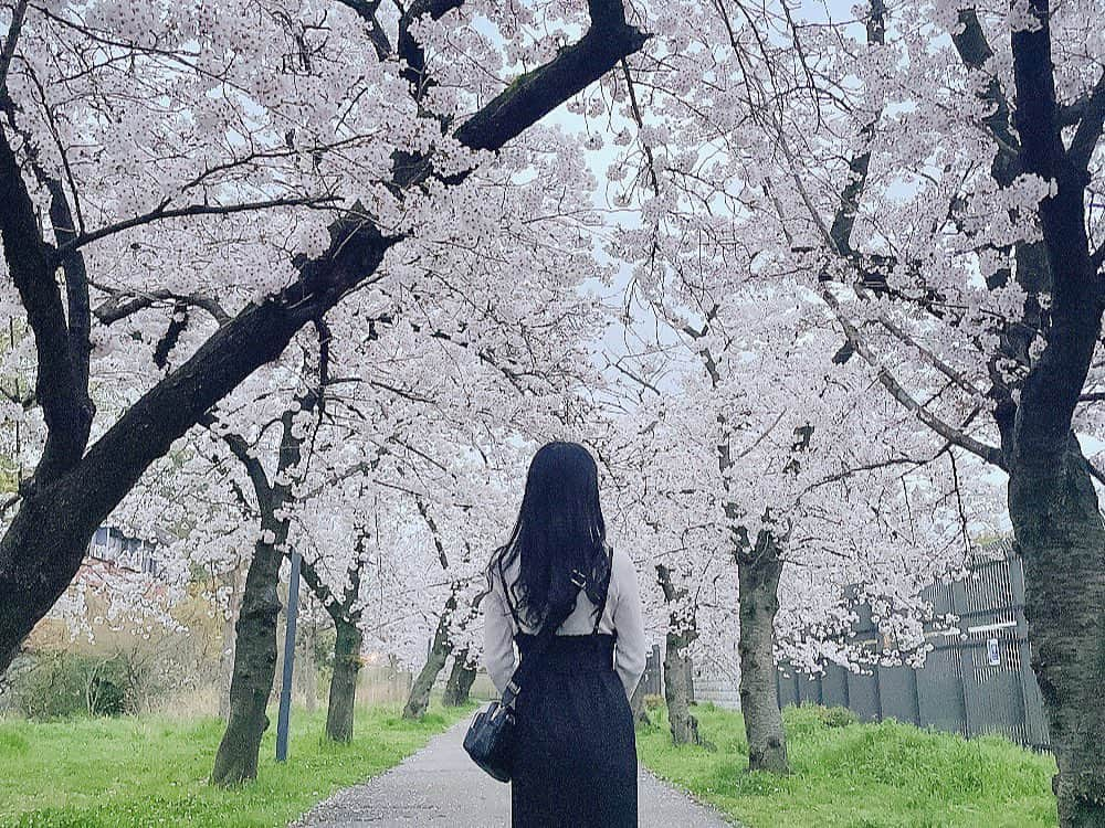 双葉凛乃のインスタグラム：「🌸  桜綺麗だった✨」