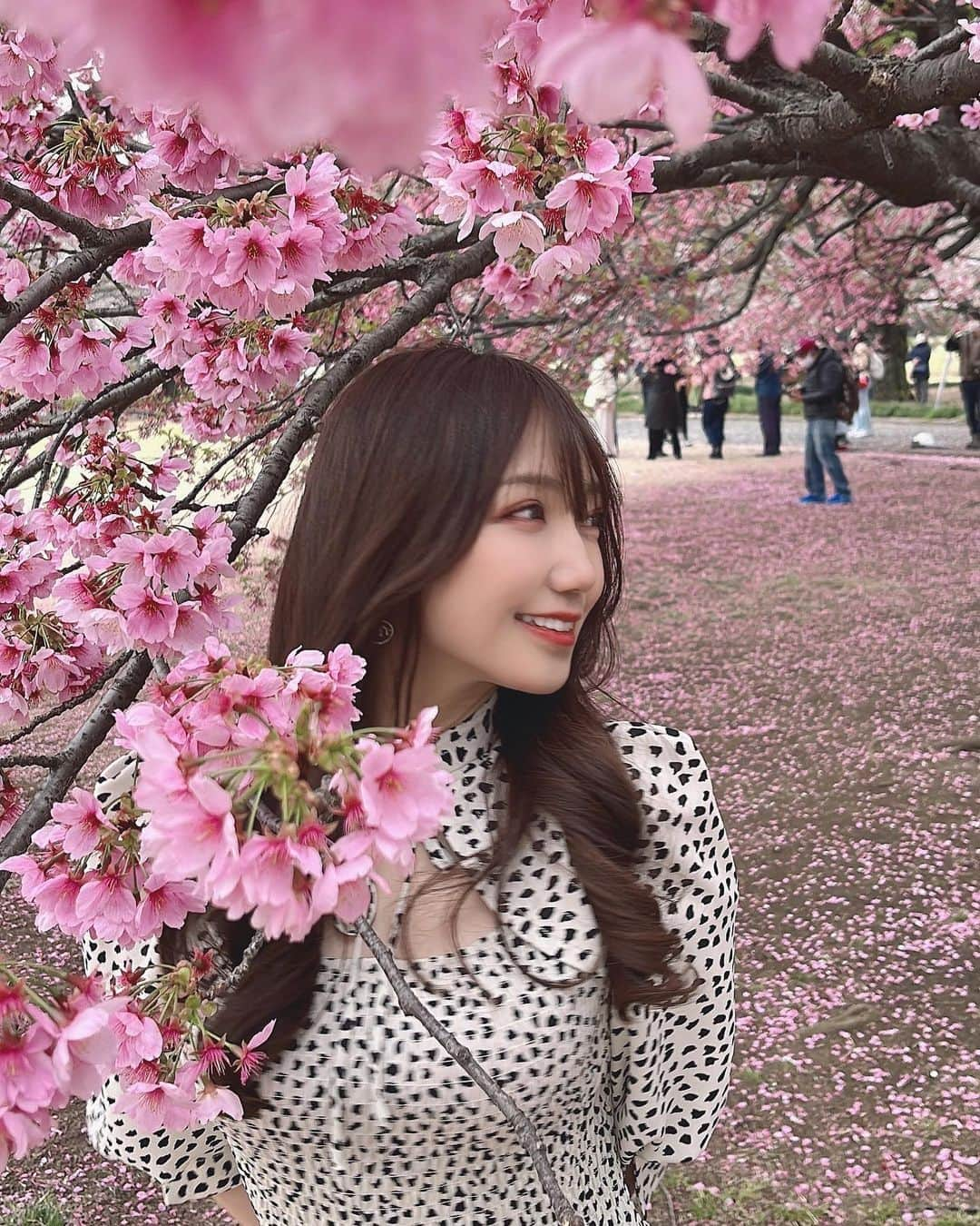 永瀬那奈さんのインスタグラム写真 - (永瀬那奈Instagram)「#春 #桜 #お花見 #新宿御苑 #れみちゃん好き #花粉がいっぱい #楽しかった #💓」3月31日 19時32分 - nananana915