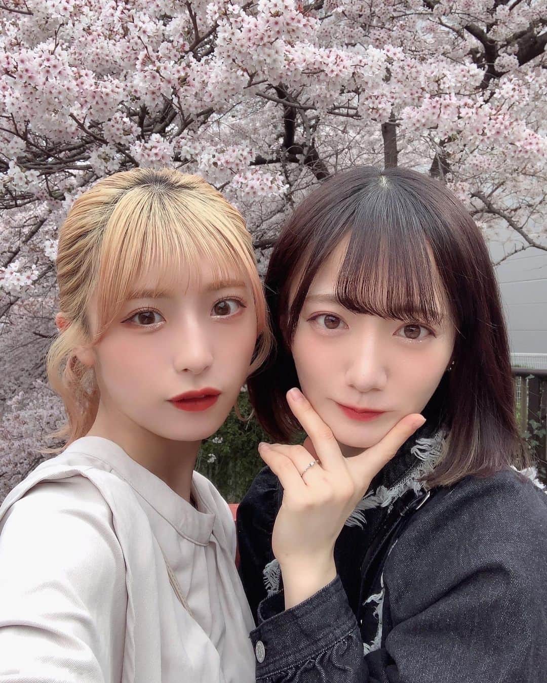のインスタグラム：「・ ふうねと桜見てきたよん🌸」