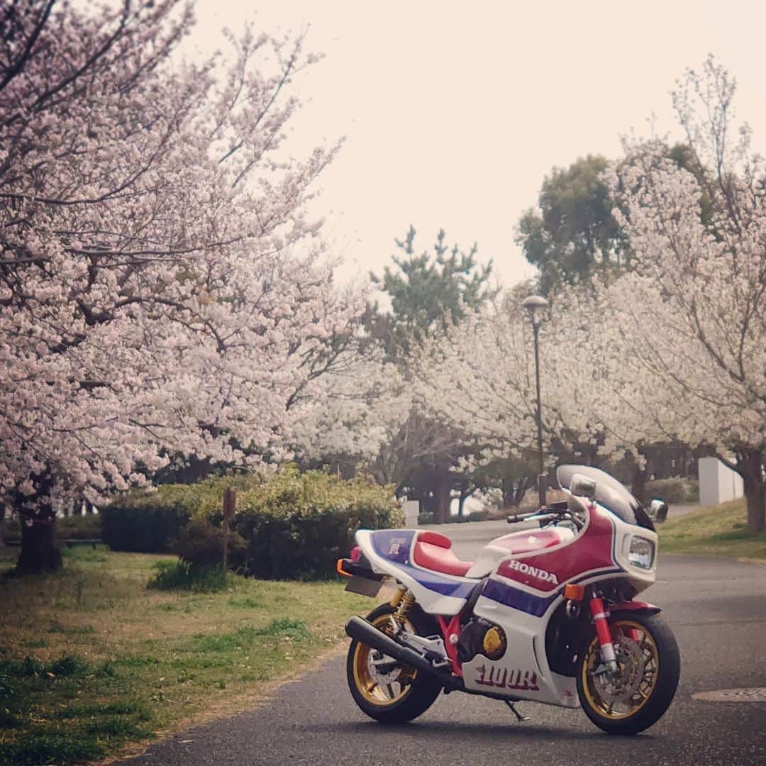 レイザーラモンRGさんのインスタグラム写真 - (レイザーラモンRGInstagram)「日本の、バイク。⁡⁡ ⁡⁡ ⁡#CB1100typeR #CB1100R」3月31日 10時48分 - rgrazorramon