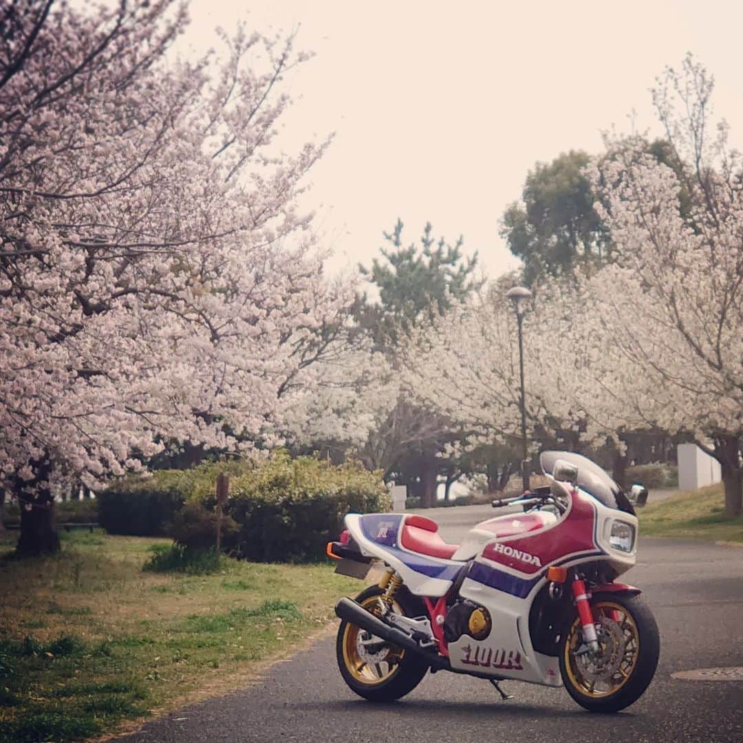 レイザーラモンRGのインスタグラム