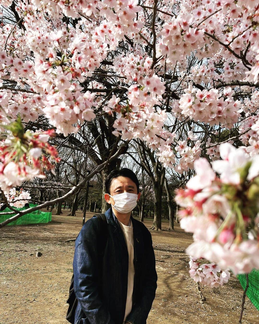 有吉弘行さんのインスタグラム写真 - (有吉弘行Instagram)「おばショット 桜に囲まれてご機嫌の有吉おばさん おばさん桜も青春満開🌸」3月31日 11時37分 - ariyoshihiroiki