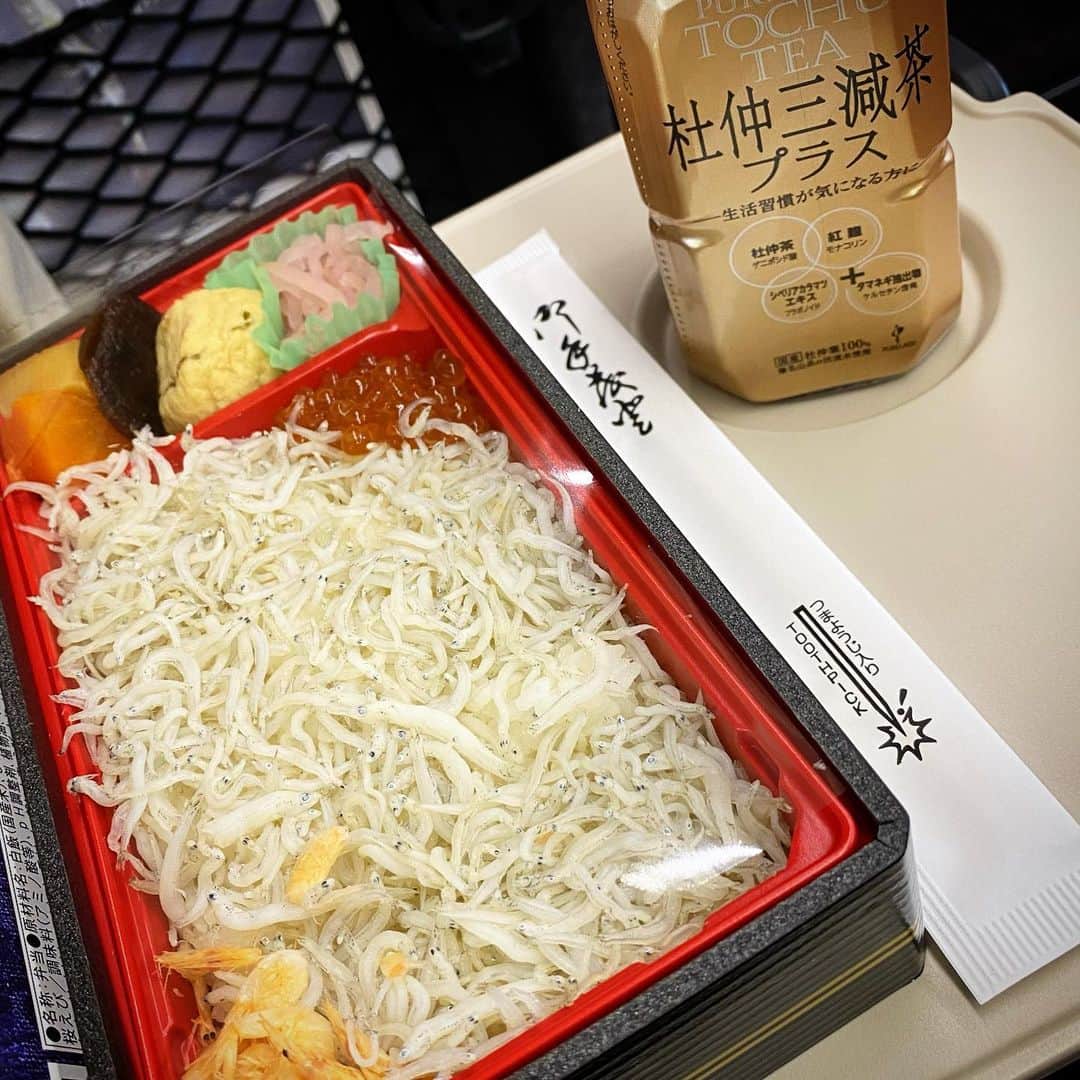 郷田ほづみのインスタグラム：「新潟まで行ってきます。しらす弁当食べながら。」