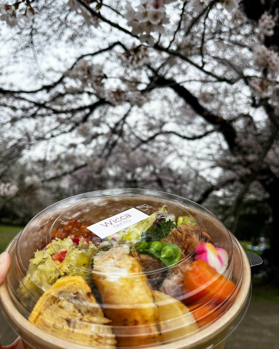 千秋さんのインスタグラム写真 - (千秋Instagram)「ママ友たちとお花見🌸🍡 @wicca_333 のお弁当持って🍱 このメンバーでのお花見って地味にもう10年以上続いてるんですね。 今日もいっぱい集まった！ 帰り際の「次いつにする？」が嬉しかった。 なんか企画します。  #お花見 #ママ友 #企画番長」3月31日 12時03分 - chiaki77777
