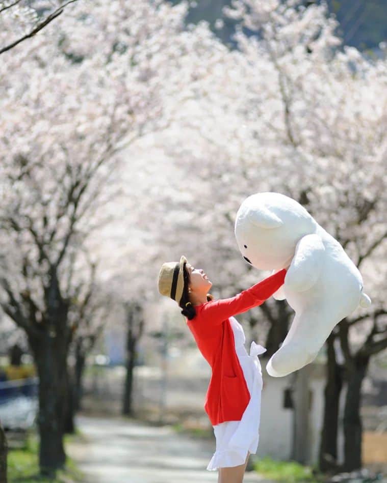 Photographer_善甫(선보)のインスタグラム：「봄날의 곰을 좋아하세요?  여기 공사하던데... ㅠㅜ 좋은 포인트는 사라진다 😭」