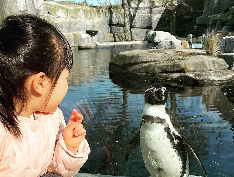 佐藤ありさのインスタグラム：「天気が良い休日に動物園😎☀️」