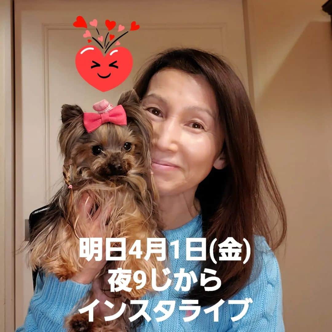 武東由美のインスタグラム