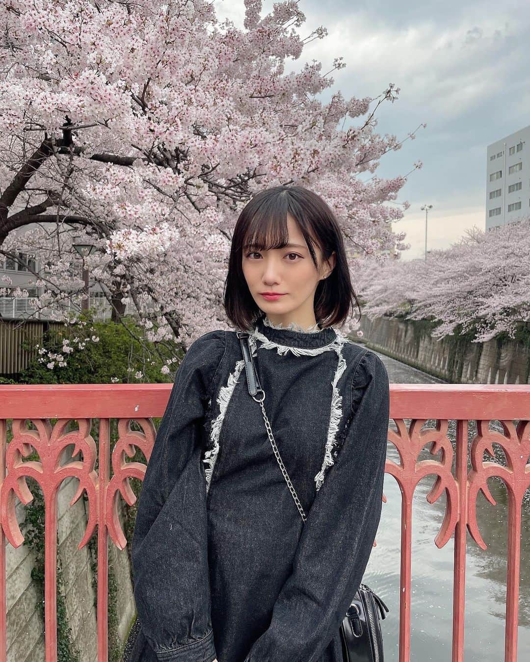 のインスタグラム：「・ 桜ってとっても綺麗だけど すぐに花びらが散ってしまうから儚いよね😌 去年も目黒川で桜見たな〜って思い出して 1年ってあっという間だなーて💭 ・ ・ #目黒川の桜  #目黒川」