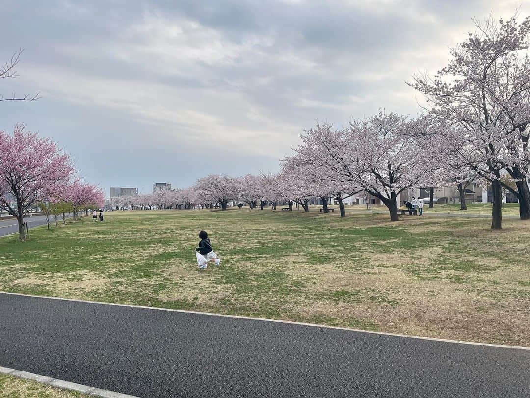 大友愛さんのインスタグラム写真 - (大友愛Instagram)「🌸🌸🌸🌸🌸  桜咲満開〜って毎年思うと雨☔️になるんだよね。今日も怪しい雲行き🌦  花粉症の方々はお花見🍡どころじゃないよね💦 帰宅後🤧🤧大事件www」3月31日 16時14分 - ai_dayooon